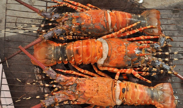 5 hai san tien vua nuc tieng gia van dat do nhu xua-Hinh-13