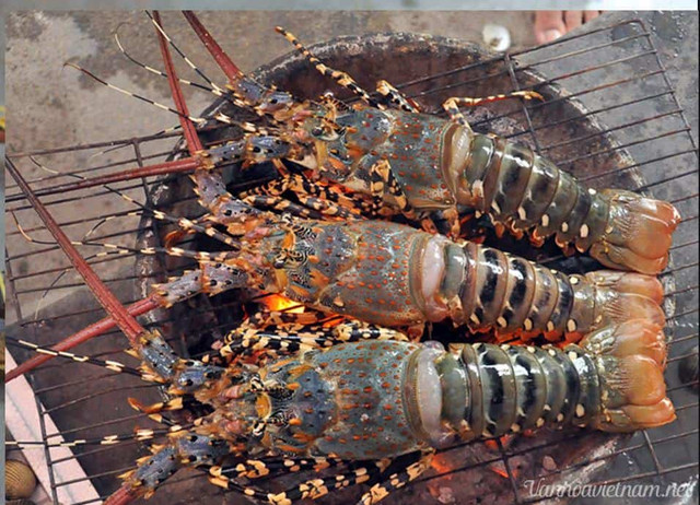 5 hai san tien vua nuc tieng gia van dat do nhu xua-Hinh-12