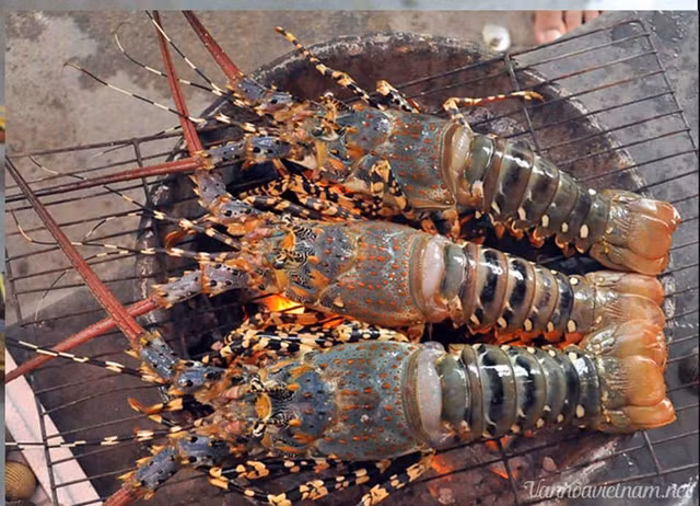 5 hai san tien vua nuc tieng gia van dat do nhu xua-Hinh-12