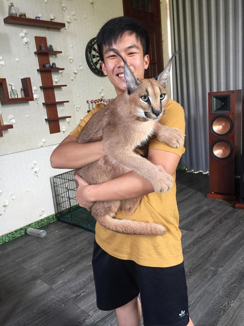 Trầm trồ bộ sưu tập thú cưng đắt đỏ của đại gia Việt - Hình 10 Tram tro bo suu tap thu cung dat do cua dai gia Viet-Hinh-10