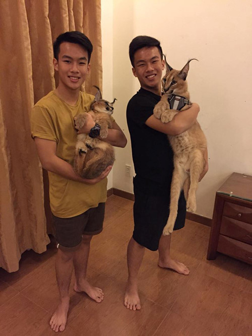 Trầm trồ bộ sưu tập thú cưng đắt đỏ của đại gia Việt - Hình 11 Tram tro bo suu tap thu cung dat do cua dai gia Viet-Hinh-11