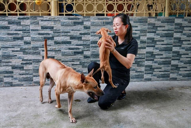 Trầm trồ bộ sưu tập thú cưng đắt đỏ của đại gia Việt - Hình 7 Tram tro bo suu tap thu cung dat do cua dai gia Viet-Hinh-7