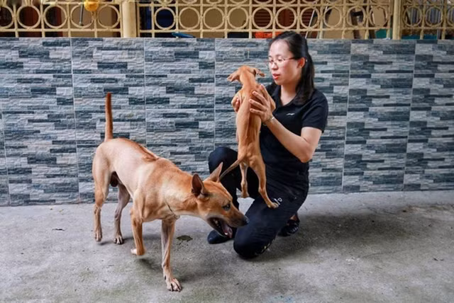 Tram tro bo suu tap thu cung dat do cua dai gia Viet-Hinh-7