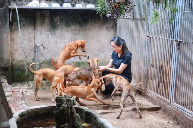 Tram tro bo suu tap thu cung dat do cua dai gia Viet-Hinh-9