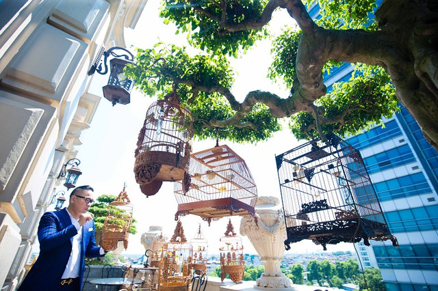 Trầm trồ bộ sưu tập thú cưng đắt đỏ của đại gia Việt - Hình 4 Tram tro bo suu tap thu cung dat do cua dai gia Viet-Hinh-4