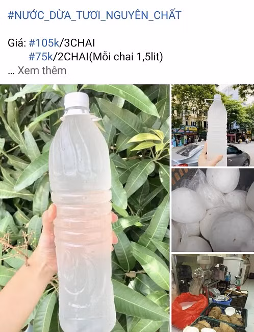 Nga ngua voi nuoc dua tuoi sieu re ban tran lan cho mang