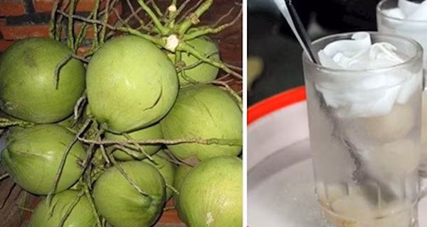 Nga ngua voi nuoc dua tuoi sieu re ban tran lan cho mang-Hinh-8