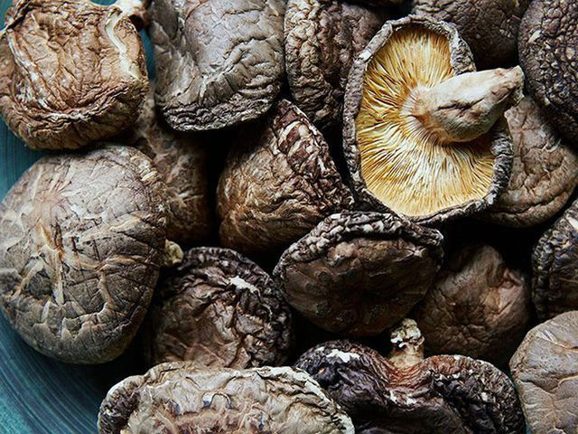 Nấm hương Nhật 8 triệu đồng/kg có gì đặc biệt? Nam huong Nhat 8 trieu dong/kg co gi dac biet?