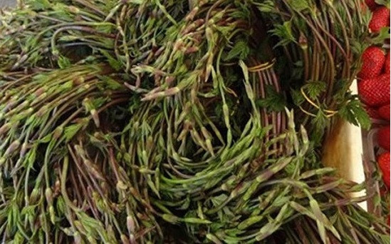 3 loại rau nghe quen thuộc nhưng giá đắt nhất thế giới - Hình 3 3 loai rau nghe quen thuoc nhung gia dat nhat the gioi-Hinh-3