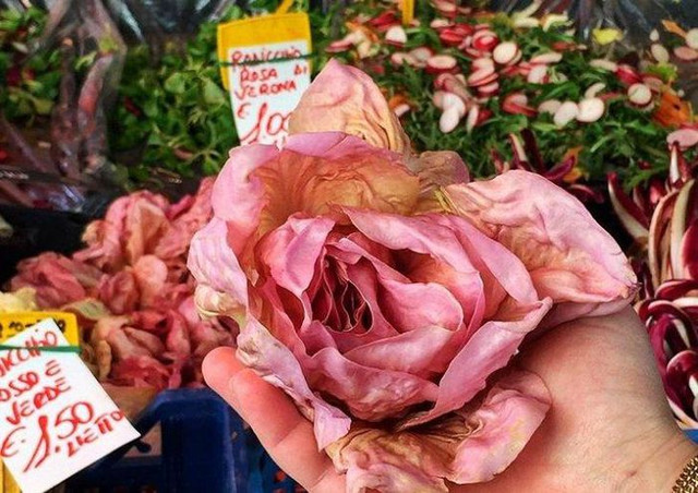 3 loại rau nghe quen thuộc nhưng giá đắt nhất thế giới - Hình 9 3 loai rau nghe quen thuoc nhung gia dat nhat the gioi-Hinh-9