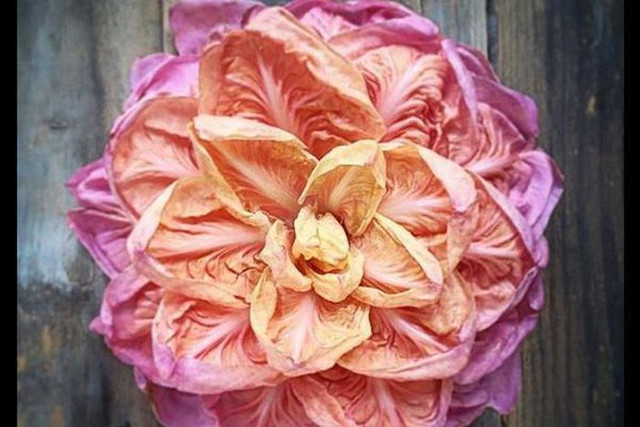 3 loại rau nghe quen thuộc nhưng giá đắt nhất thế giới - Hình 10 3 loai rau nghe quen thuoc nhung gia dat nhat the gioi-Hinh-10