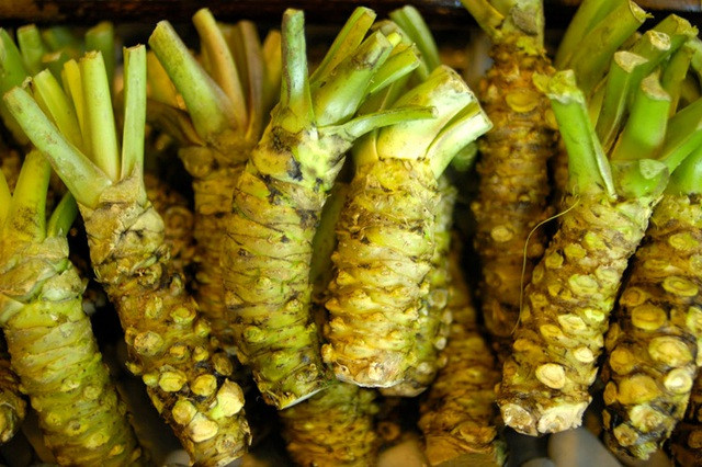 3 loại rau nghe quen thuộc nhưng giá đắt nhất thế giới - Hình 7 3 loai rau nghe quen thuoc nhung gia dat nhat the gioi-Hinh-7