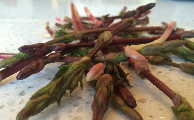 3 loại rau nghe quen thuộc nhưng giá đắt nhất thế giới 3 loai rau nghe quen thuoc nhung gia dat nhat the gioi