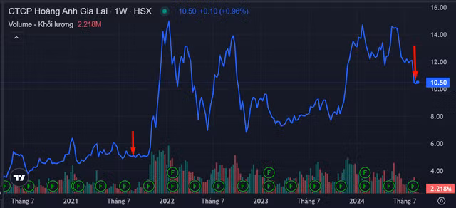 Ai nu kin tieng cua bau Duc 'mat tay' luot song co phieu Hoang Anh Gia Lai-Hinh-2