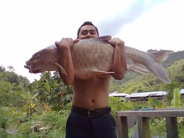 'Vong bat lieu ngu' dat hon vang rong danh cho gioi nha giau-Hinh-3