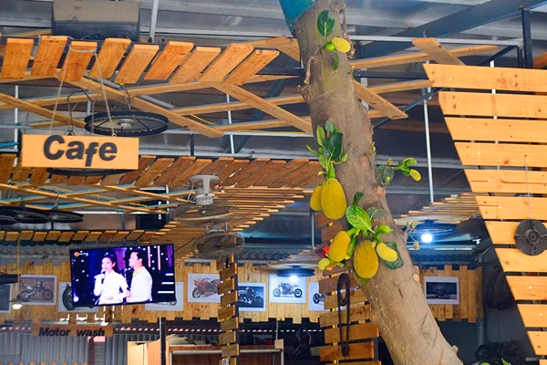 Doc dao nhung ngoi nha cay moc xuyen nha-Hinh-4