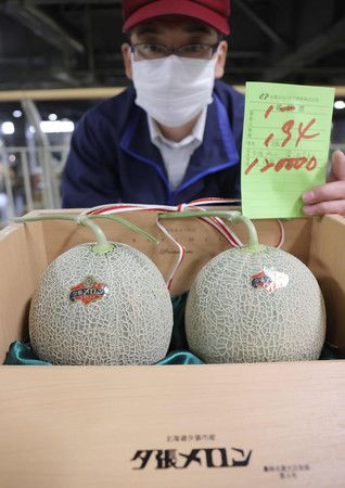 Dưa lưới Nhật Bản lao dốc từ nửa tỷ đồng một trái xuống còn vài chục triệu đồng Dua luoi Nhat Ban lao doc tu nua ty dong mot trai xuong con vai chuc trieu dong