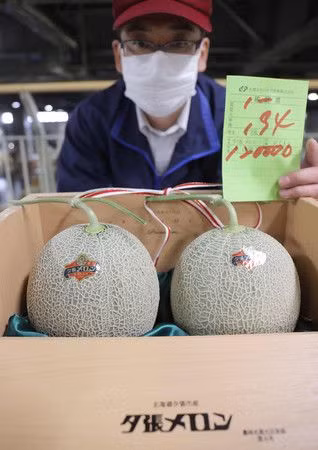 Dưa lưới Nhật Bản lao dốc từ nửa tỷ đồng một trái xuống còn vài chục triệu đồng Dua luoi Nhat Ban lao doc tu nua ty dong mot trai xuong con vai chuc trieu dong