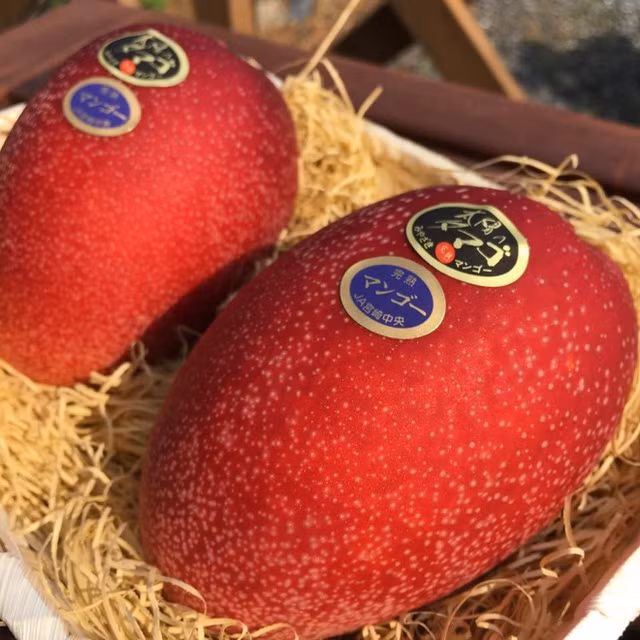 Giat minh 6 loai trai cay gia hang tram trieu ai nghe cung soc-Hinh-9