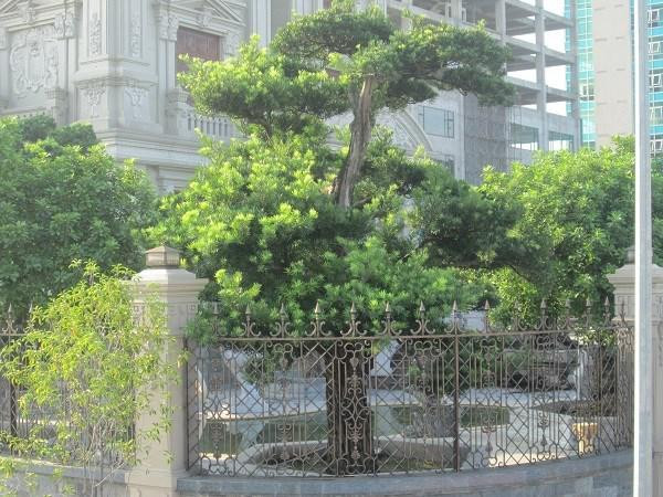 Xem lâu đài trăm tỷ vô tiền khoáng hậu của đại gia Hà Nam - Hình 4 Xem lau dai tram ty vo tien khoang hau cua dai gia Ha Nam-Hinh-4