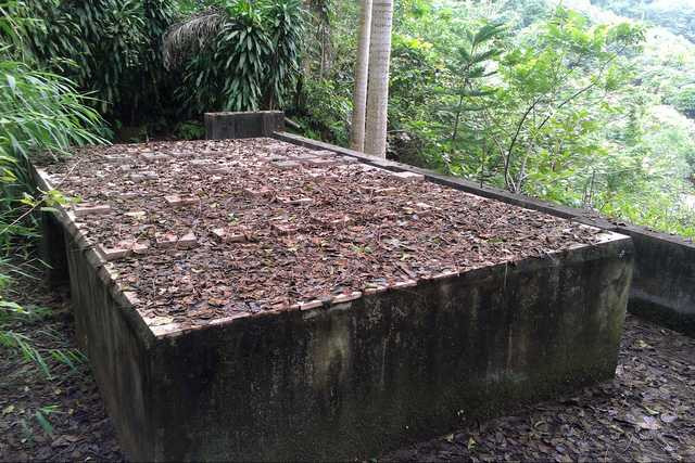 Đại gia Việt giàu nứt đố đổ vách có các sở thích lạ đời - Hình 10 Dai gia Viet giau nut do do vach co cac so thich la doi-Hinh-10