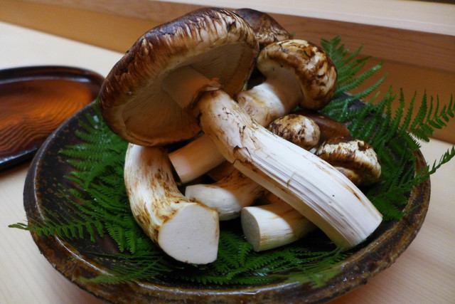 Đại gia Việt không tiếc tiền chi mua loại nấm đắt đỏ hàng chục triệu/kg - Hình 13 Dai gia Viet khong tiec tien chi mua loai nam dat do hang chuc trieu/kg-Hinh-13
