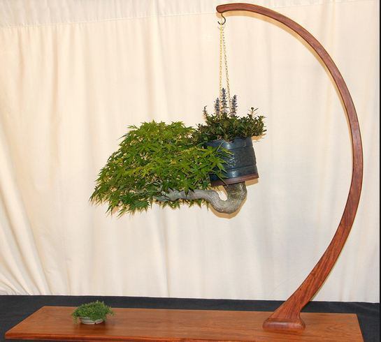 Chiêm ngưỡng những chậu bonsai mọc ngược độc nhất vô nhị - Hình 10 Chiem nguong nhung chau bonsai moc nguoc doc nhat vo nhi-Hinh-10