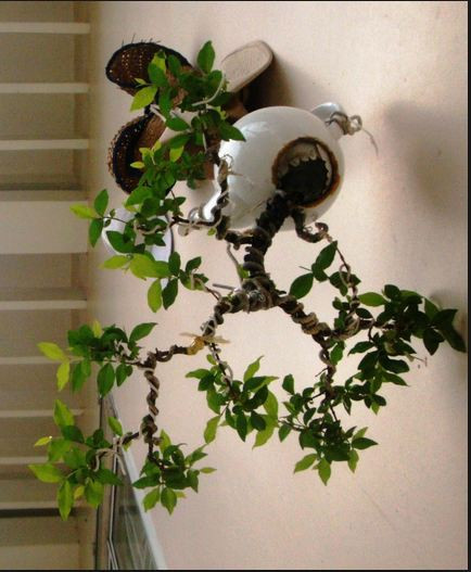 Chiêm ngưỡng những chậu bonsai mọc ngược độc nhất vô nhị - Hình 9 Chiem nguong nhung chau bonsai moc nguoc doc nhat vo nhi-Hinh-9