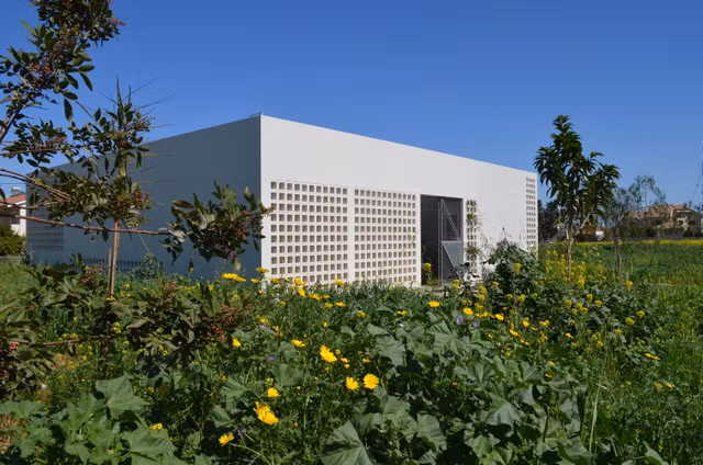 Me tit ngoi nha co toi 4 khu vuon xanh mat-Hinh-2