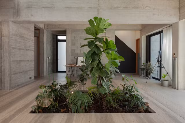 Me tit ngoi nha co toi 4 khu vuon xanh mat-Hinh-9