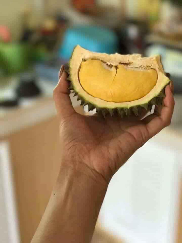 Sầu riêng mini Thái Lan hút khách vì tò mò - Hình 3 Sau rieng mini Thai Lan hut khach vi to mo-Hinh-3
