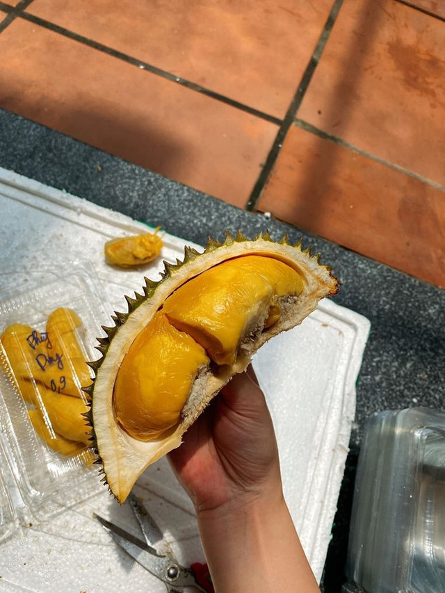 Sầu riêng mini Thái Lan hút khách vì tò mò - Hình 4 Sau rieng mini Thai Lan hut khach vi to mo-Hinh-4