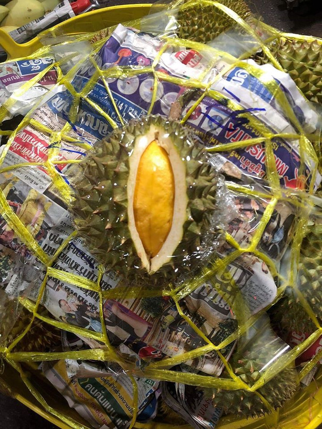 Sầu riêng mini Thái Lan hút khách vì tò mò - Hình 5 Sau rieng mini Thai Lan hut khach vi to mo-Hinh-5