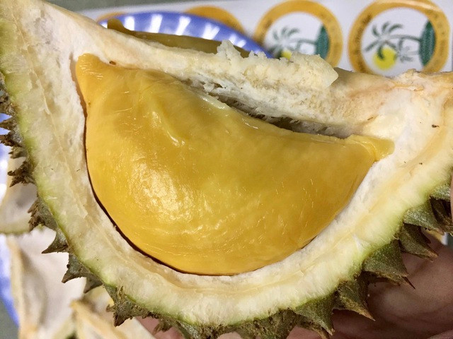 Sầu riêng mini Thái Lan hút khách vì tò mò - Hình 9 Sau rieng mini Thai Lan hut khach vi to mo-Hinh-9