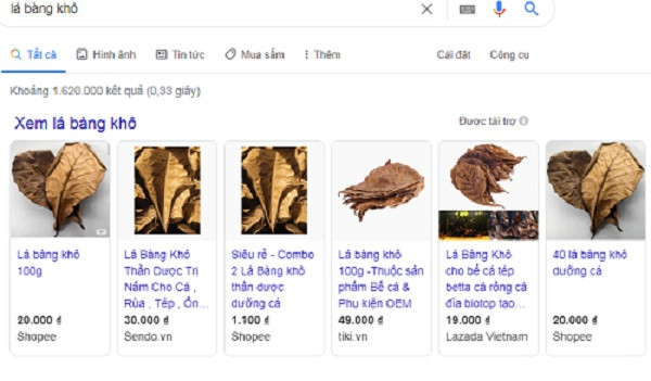 Bất ngờ lá bàng khô được rao bán lên tới nửa triệu/kg Bat ngo la bang kho duoc rao ban len toi nua trieu/kg