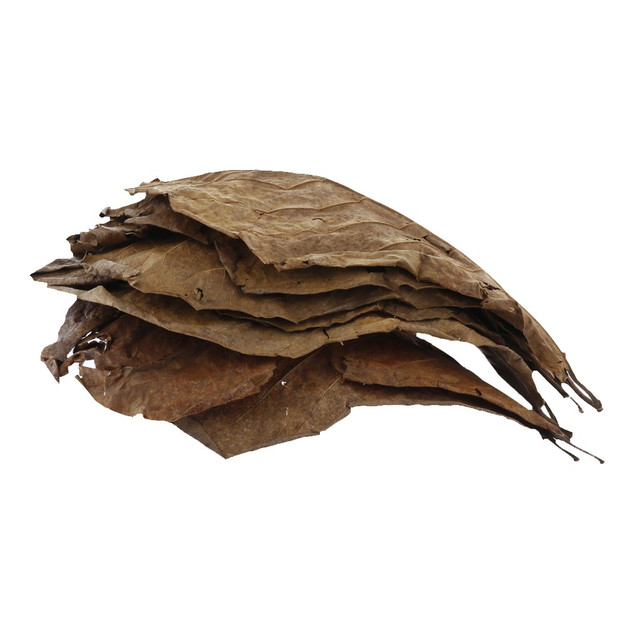 Bất ngờ lá bàng khô được rao bán lên tới nửa triệu/kg - Hình 10 Bat ngo la bang kho duoc rao ban len toi nua trieu/kg-Hinh-10