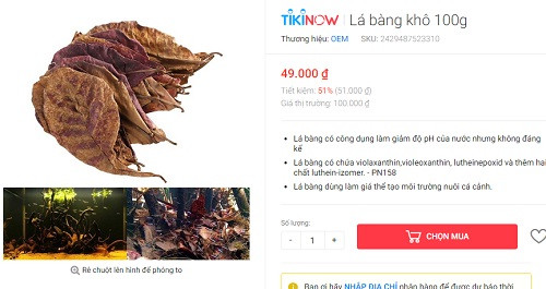 Bất ngờ lá bàng khô được rao bán lên tới nửa triệu/kg - Hình 3 Bat ngo la bang kho duoc rao ban len toi nua trieu/kg-Hinh-3