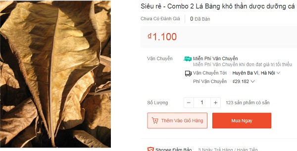 Bất ngờ lá bàng khô được rao bán lên tới nửa triệu/kg - Hình 2 Bat ngo la bang kho duoc rao ban len toi nua trieu/kg-Hinh-2