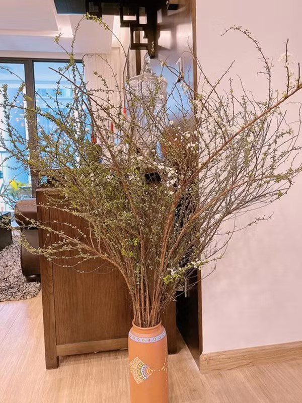 Do nha dep, sang chanh cua cac nang hau giau co-Hinh-12