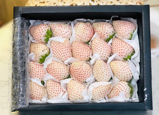 Giá hàng triệu đồng 1 kg nhưng Dâu tây Bạch Tuyết Đà Lạt vẫn 'cháy' hàng Gia hang trieu dong 1 kg nhung Dau tay Bach Tuyet Da Lat van 'chay' hang