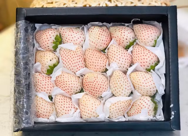 Gia hang trieu dong 1 kg nhung Dau tay Bach Tuyet Da Lat van 'chay' hang