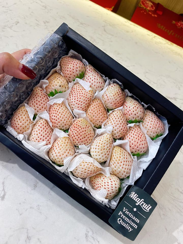 Giá hàng triệu đồng 1 kg nhưng Dâu tây Bạch Tuyết Đà Lạt vẫn 'cháy' hàng - Hình 2 Gia hang trieu dong 1 kg nhung Dau tay Bach Tuyet Da Lat van 'chay' hang-Hinh-2