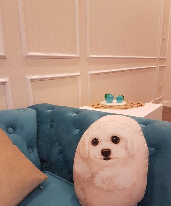 Ngoài nhẫn kim cương, Vân Hugo còn sở hữu căn hộ sang trọng - Hình 9 Ngoai nhan kim cuong, Van Hugo con so huu can ho sang trong-Hinh-9