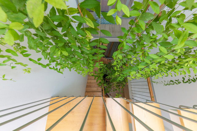 Nha ong co mat tien uon cong sieu doc giua Sai thanh-Hinh-4