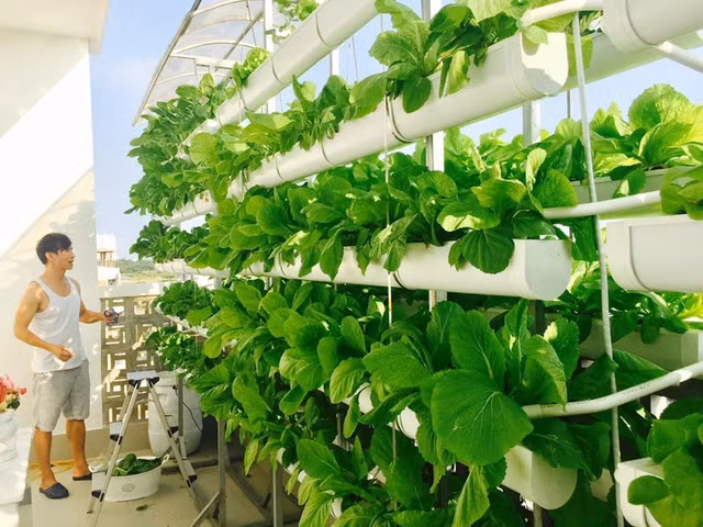 Da mat vuon rau thuy canh xanh tot tren san thuong nha sao Viet-Hinh-11