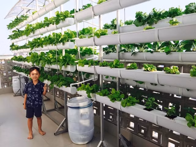 Da mat vuon rau thuy canh xanh tot tren san thuong nha sao Viet-Hinh-9