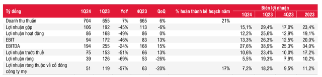 HAH: Lợi nhuận Q1/2024 giảm mạnh nhưng có dấu hiệu phục hồi - Hình 2 HAH: Loi nhuan Q1/2024 giam manh nhung co dau hieu phuc hoi-Hinh-2