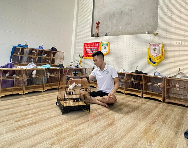 Đại gia Việt không tiếc tiền cho thú chơi chim cảnh - Hình 7 Dai gia Viet khong tiec tien cho thu choi chim canh-Hinh-7