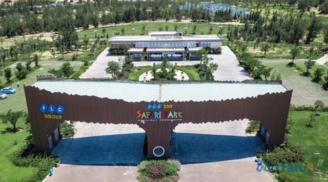 Do thiếu tiền hay vì lý do gì FLC Faros bán vườn thú tại Quy Nhơn? Do thieu tien hay vi ly do gi FLC Faros ban vuon thu tai Quy Nhon?