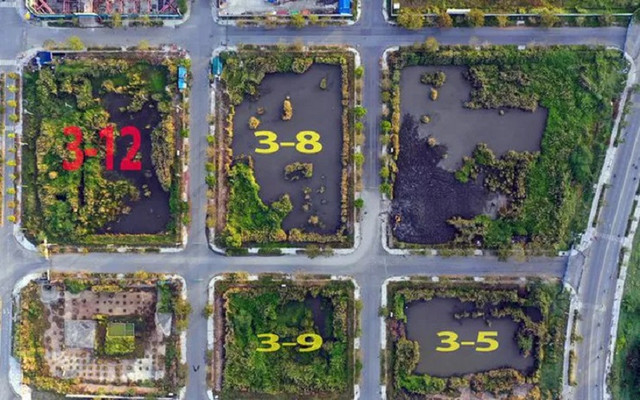 Biết gì về công ty Bình Minh không đủ vốn làm dự án trên lô đất đấu giá ở Thủ Thiêm? Biet gi ve cong ty Binh Minh khong du von lam du an tren lo dat dau gia o Thu Thiem?